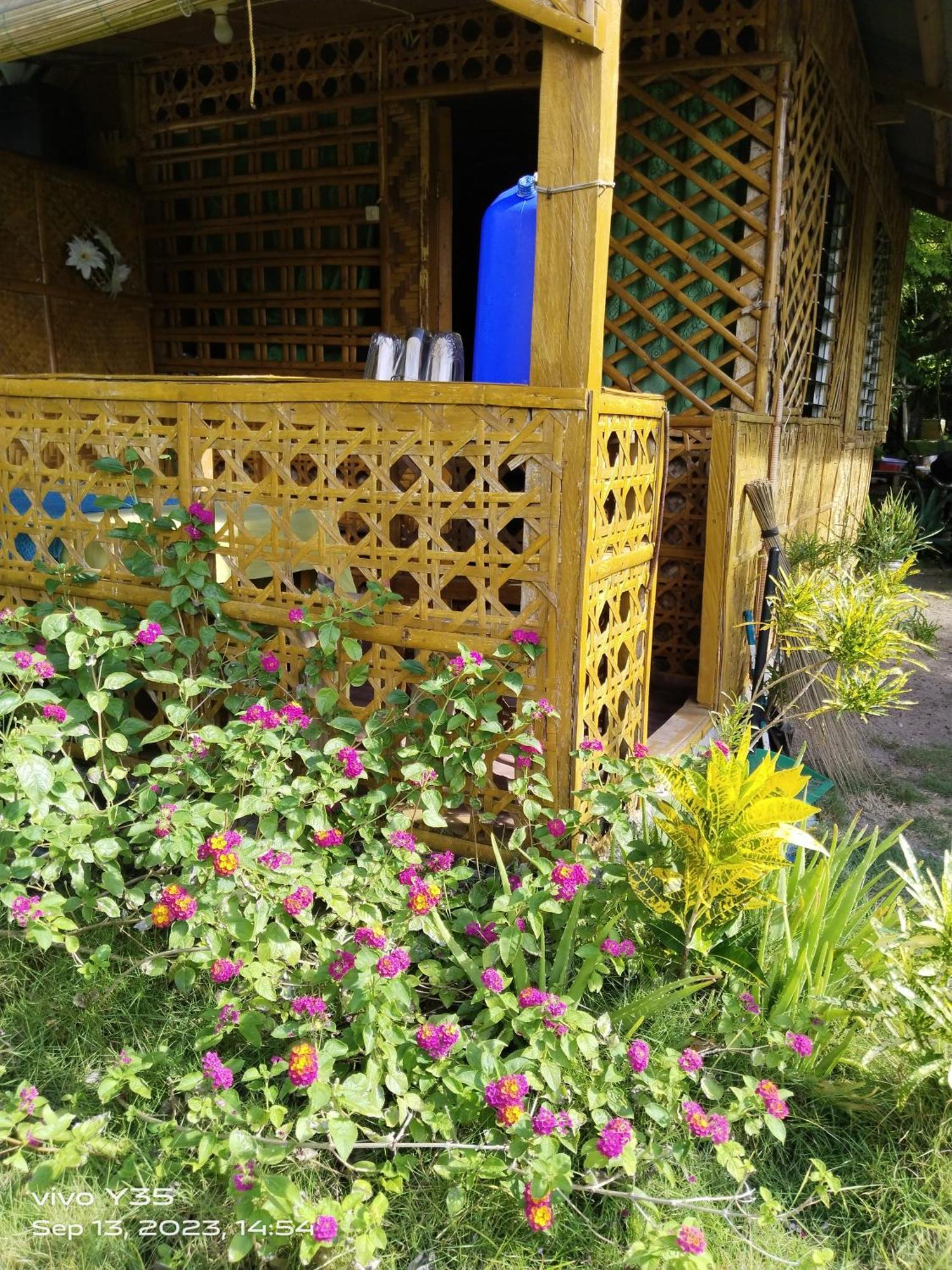 Shirley'S Cottage - Pamilacan Island Baclayon Екстериор снимка